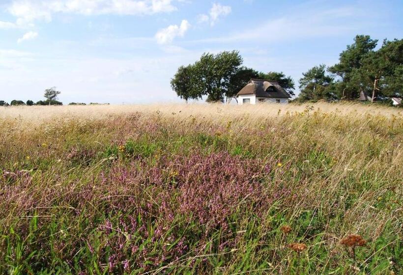 فندق Hiddensee Hitthim