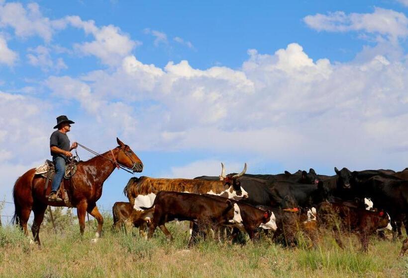 استراحتگاه Canyon Of The Ancients Guest Ranch