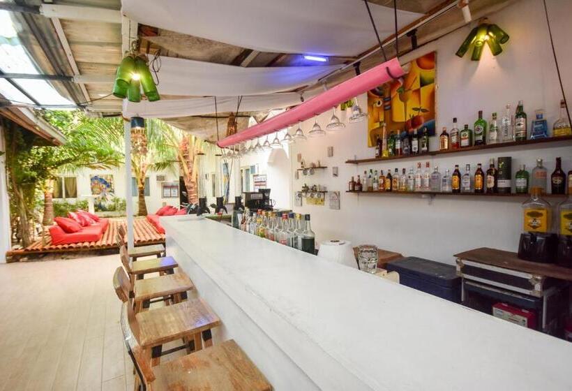 הוסטל Boracay Backpackers