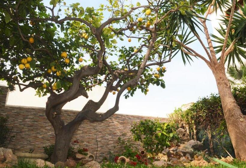 تختخواب و صبحانه Kimos