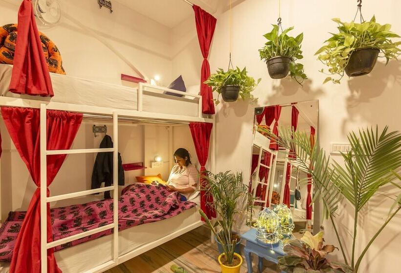 هاستل Gostops Jaipur  Rooms & Dorms