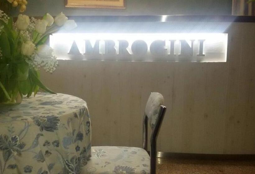 هتل Ambrogini