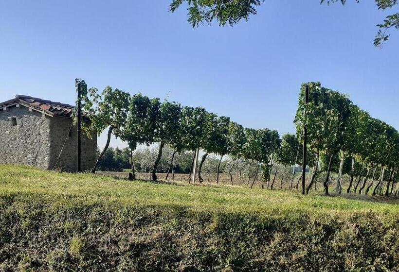 Vicolo Del Nido B&b