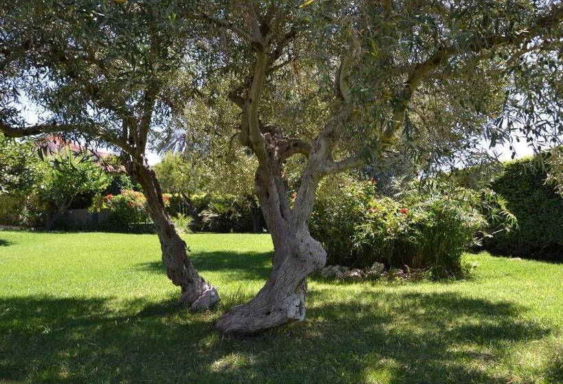 B&b Due Fontane