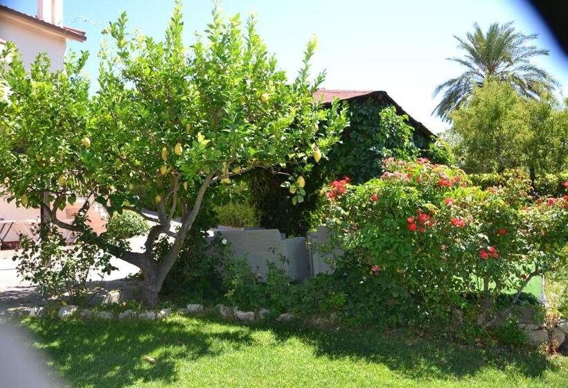 B&b Due Fontane