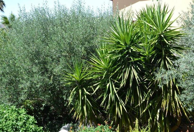 B&b Due Fontane