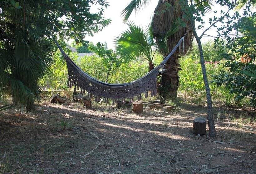 Bed and Breakfast Kalinifta   Io Parto Io Arrivo