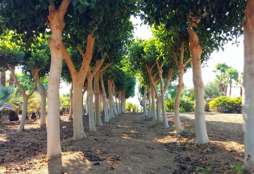 تختخواب و صبحانه Villa Lekythos