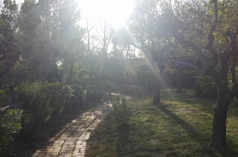 ベッドアンドブレックファースト Villa Montemma