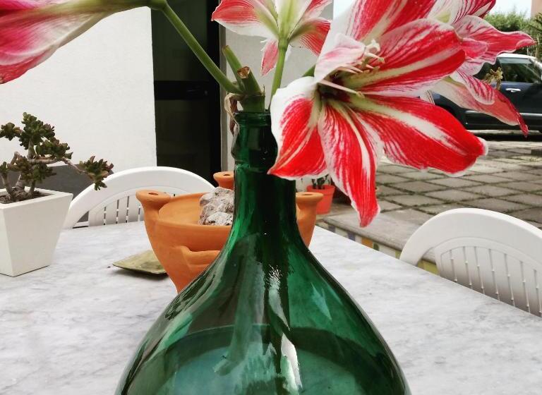 Idria B&b