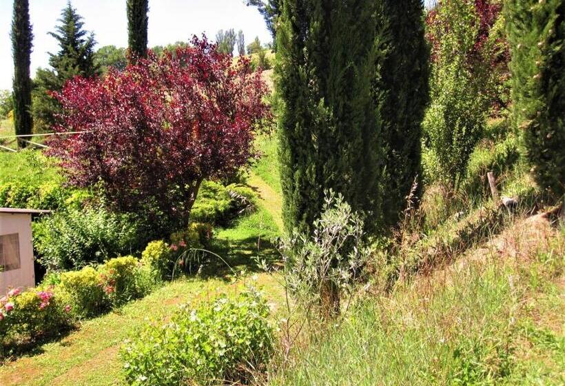 La Pietra Rara B&b