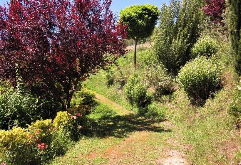 La Pietra Rara B&b