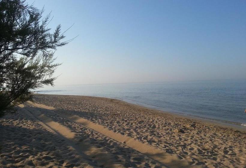 Alma Terra Salento B&b