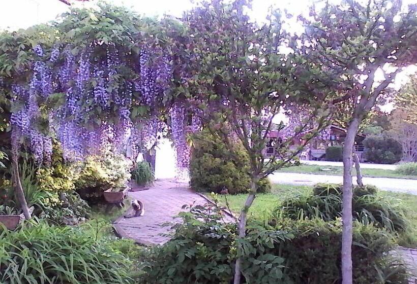 B&b Cm Ranch
