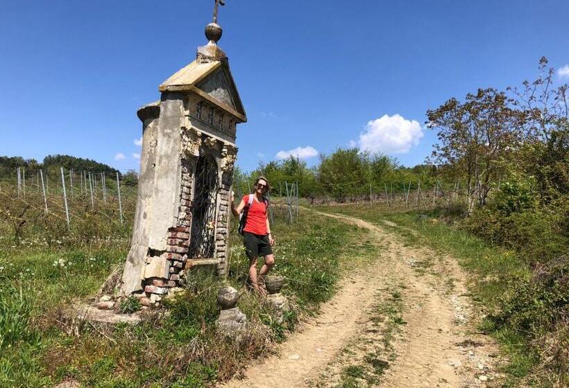 B&b Puntodivista