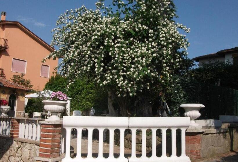 B&b Vittoria Colonna