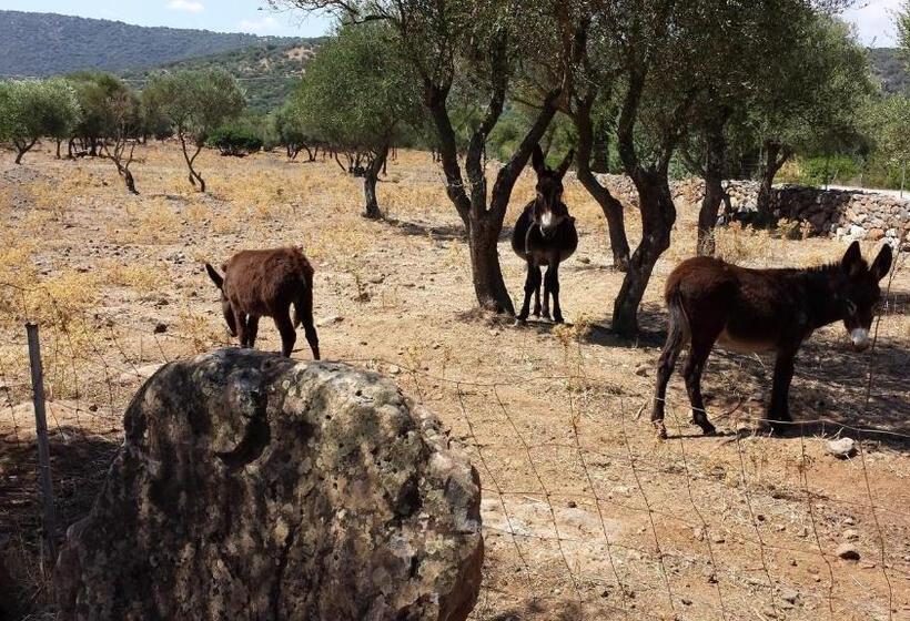 تختخواب و صبحانه Agriturismo Pira Pinta