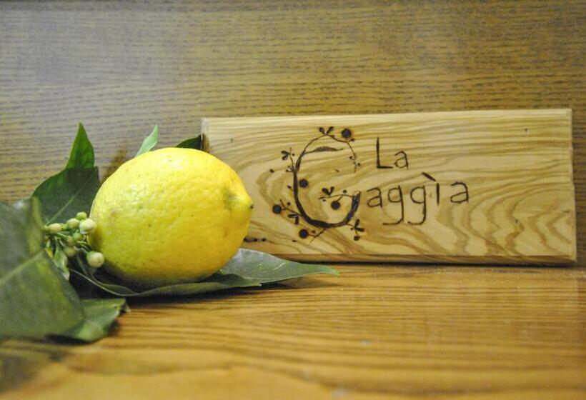 مبيت وإفطار La Gaggia Guest House