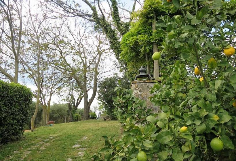 住宿加早餐  Residenza Santa Maria In Borraccia
