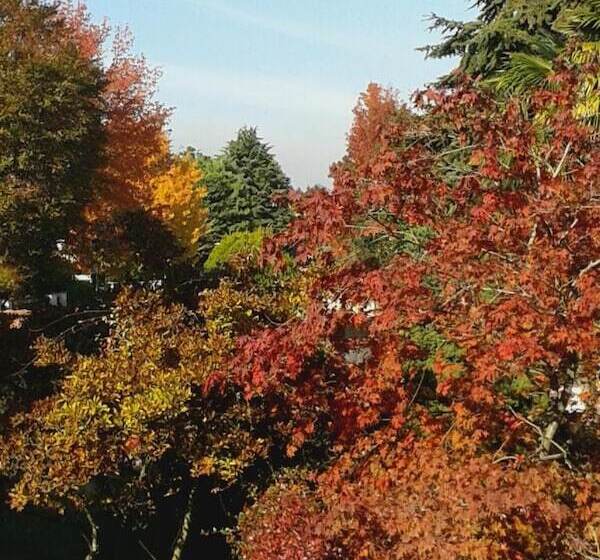 La Rocchetta B&b
