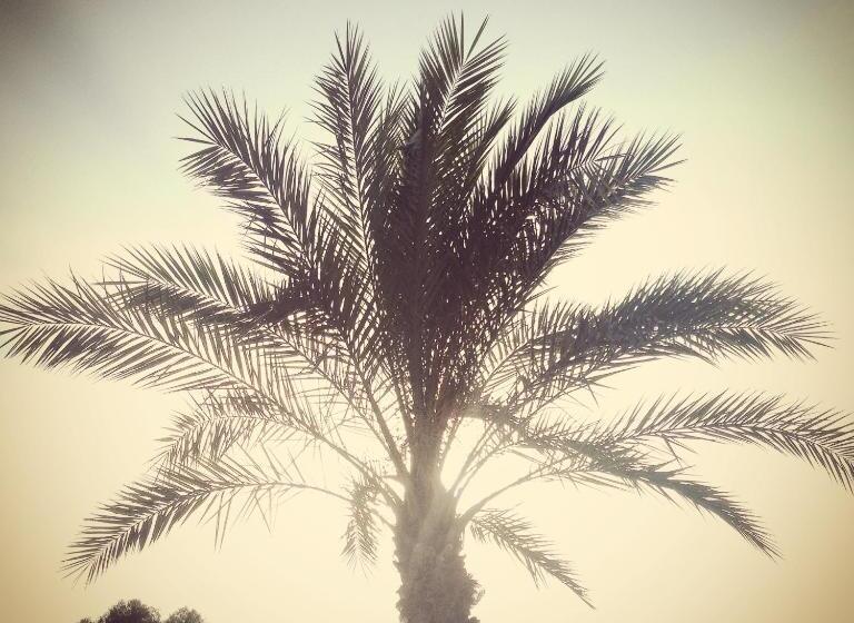 渡假胜地 Argonauti Residence