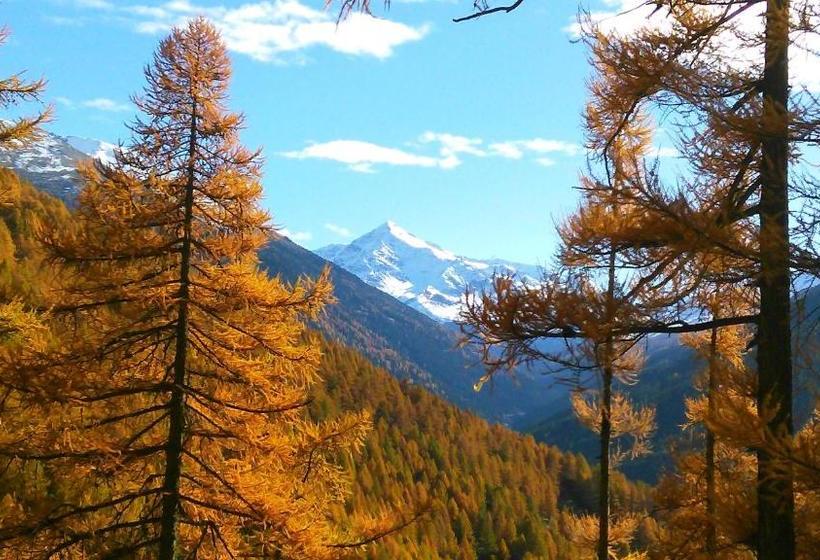 فندق صغير Guesthouse Seghetto