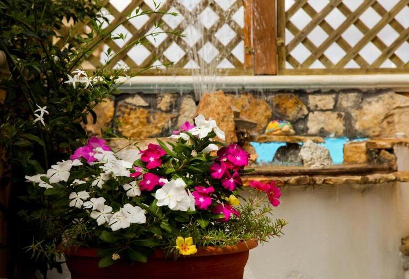 مبيت وإفطار Bonjour