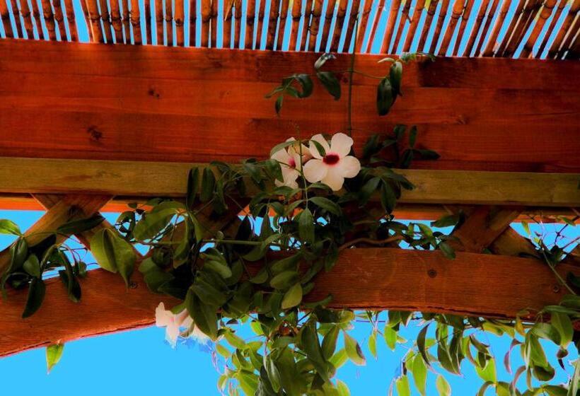 مبيت وإفطار Bonjour