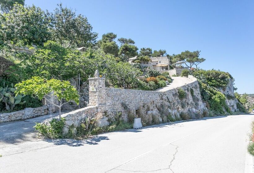 مبيت وإفطار La Casa Del Fico