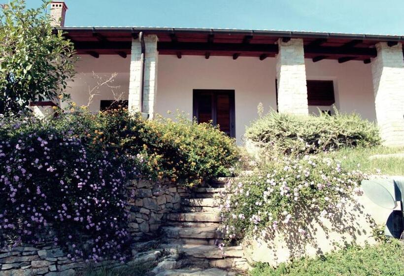 تختخواب و صبحانه Maglioferro Residence