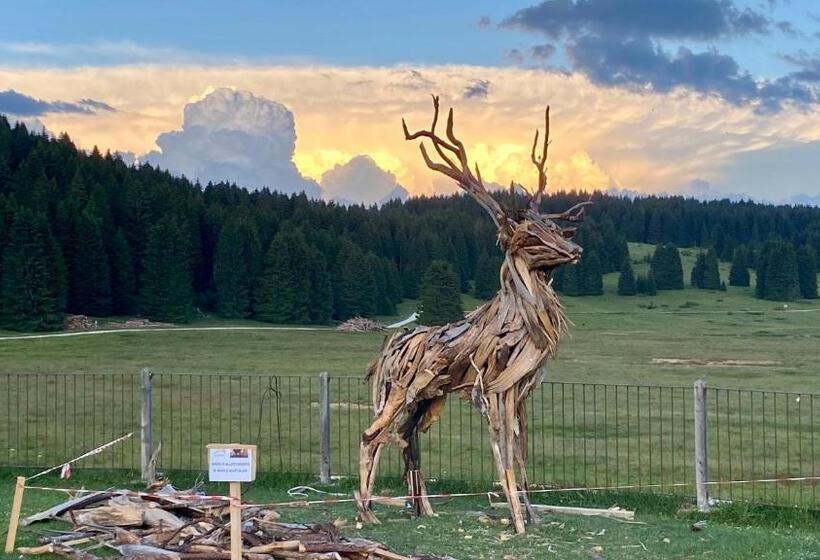 Malga Millegrobbe Nordic Resort