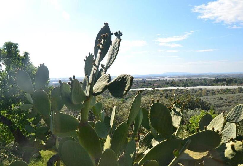 Ronnavona Casa Vacanze B&b