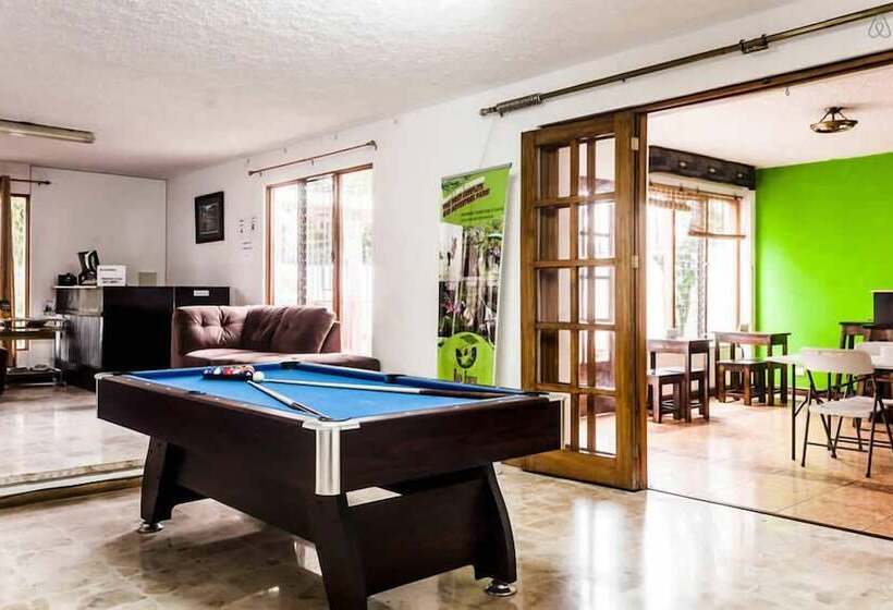 Tripon Open House Hostel