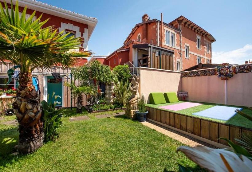 Villa Zenith Hostel La Surf House