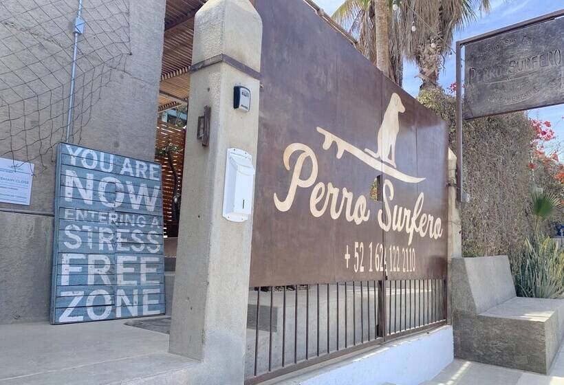 هاستل Perro Surfero Todos Santos