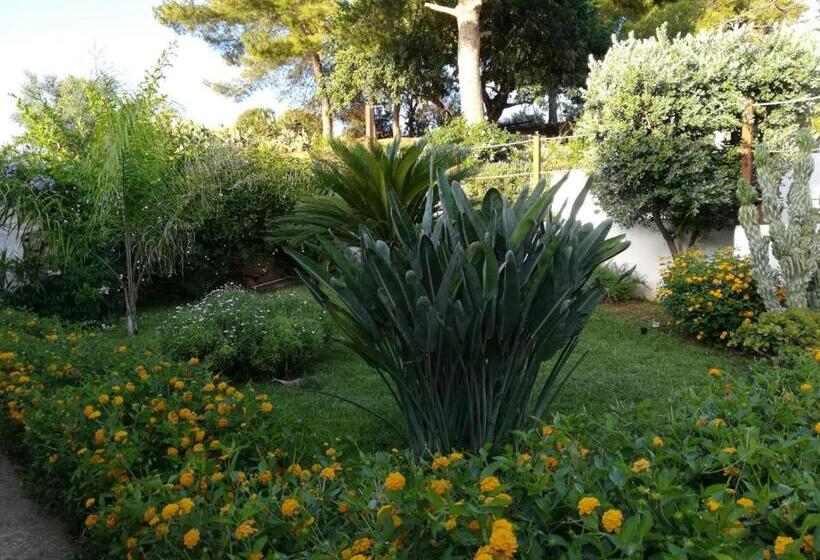 تختخواب و صبحانه Bianco Sale Trapani