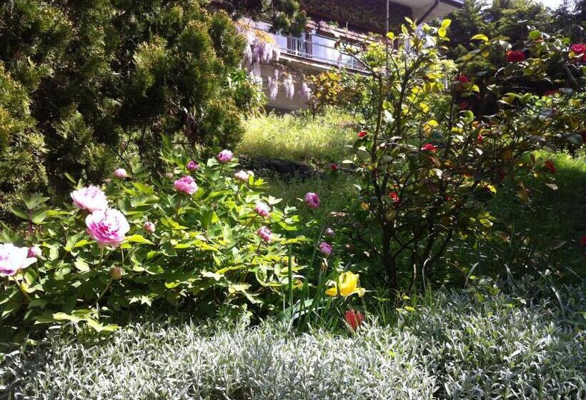 B&b Le Ortensie Lago Di Como