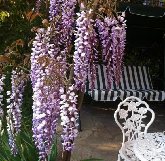 B&b Le Ortensie Lago Di Como