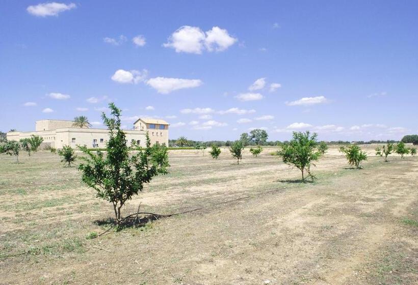 مبيت وإفطار Masseria Galatea Agriturismo