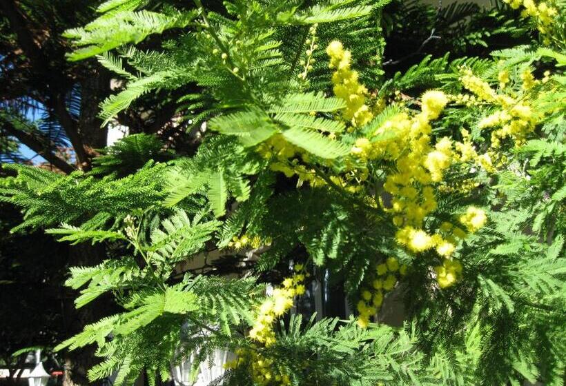 فندق Acqua Marina