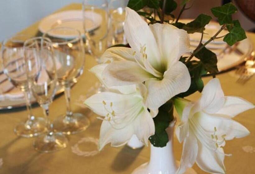 בית מלון כפרי Aurora