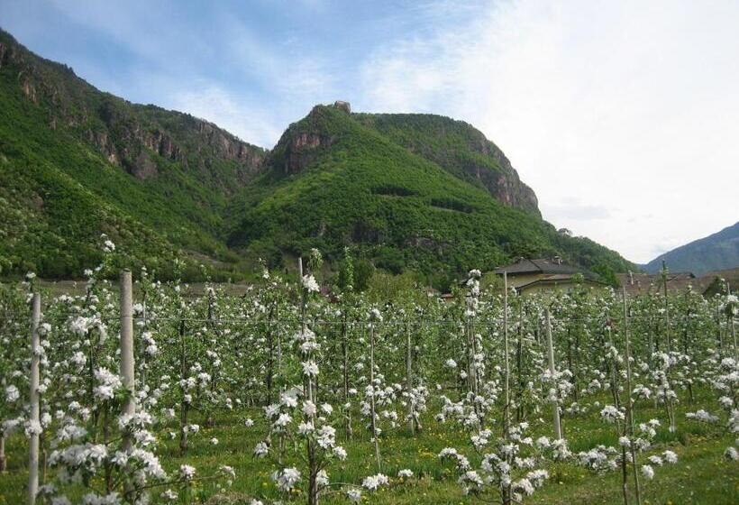 Отель Greifenstein
