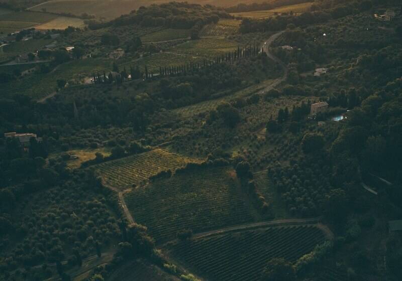 هتل Vecchia Oliviera