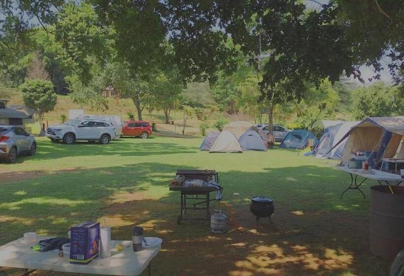 منتجع Sabie River Camp