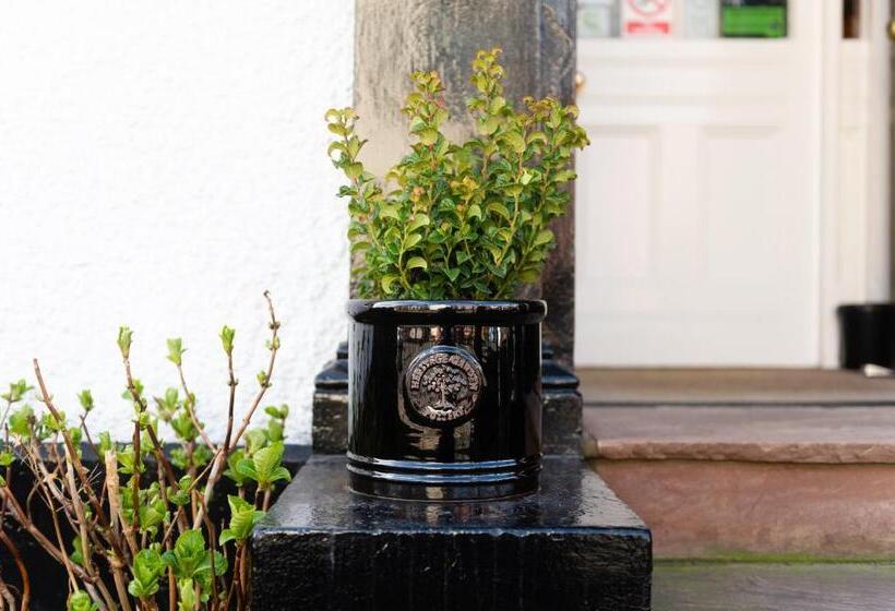 ベッドアンドブレックファースト Blue Swallow