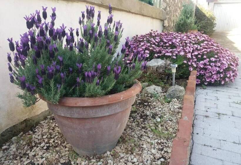 تختخواب و صبحانه Il Vaso Di Creta