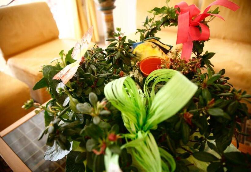 Fotos del hotel Devon Rooms & Breakfast:  12