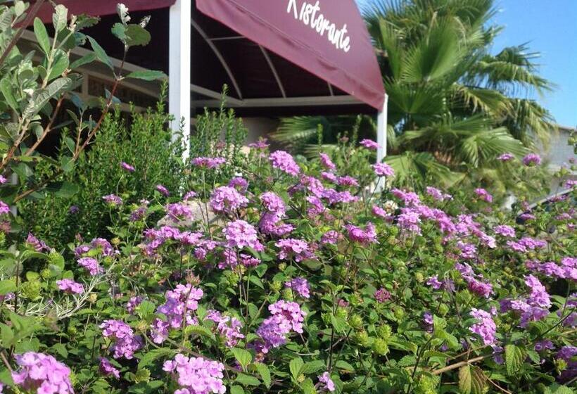 فندق La Rosa Dei Venti