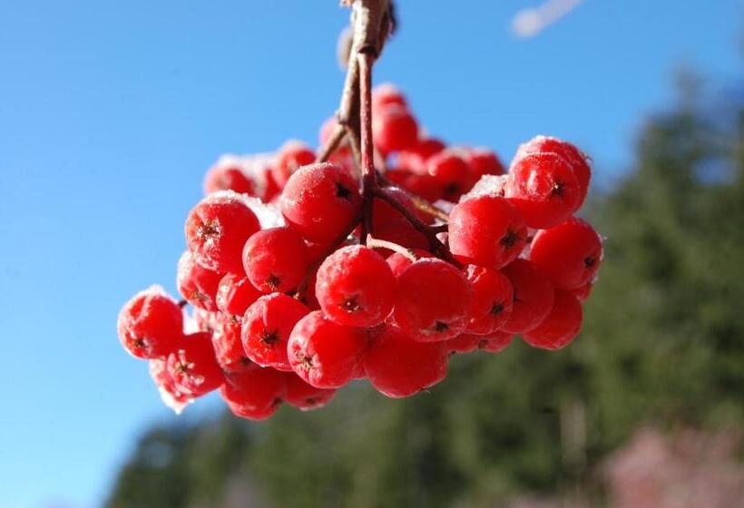 호텔 Rifugio Casello Margherita