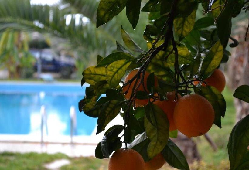 Villa Adriana B&b